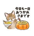 秋冬の毎日☆猫たちのスタンプ（個別スタンプ：15）