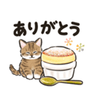 秋冬の毎日☆猫たちのスタンプ（個別スタンプ：16）