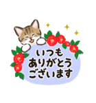 秋冬の毎日☆猫たちのスタンプ（個別スタンプ：18）