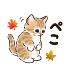 秋冬の毎日☆猫たちのスタンプ（個別スタンプ：19）