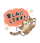 秋冬の毎日☆猫たちのスタンプ（個別スタンプ：23）