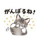 秋冬の毎日☆猫たちのスタンプ（個別スタンプ：26）