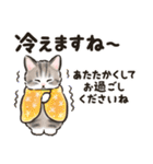 秋冬の毎日☆猫たちのスタンプ（個別スタンプ：29）