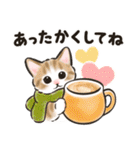 秋冬の毎日☆猫たちのスタンプ（個別スタンプ：30）