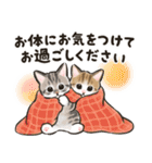 秋冬の毎日☆猫たちのスタンプ（個別スタンプ：31）