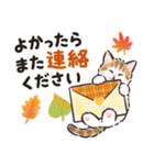 秋冬の毎日☆猫たちのスタンプ（個別スタンプ：34）
