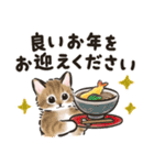 秋冬の毎日☆猫たちのスタンプ（個別スタンプ：39）