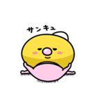 まいにちひよっこ赤ちゃん（個別スタンプ：20）