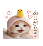 スコティッシュ猫 布団ねこ 可愛い日常（個別スタンプ：2）