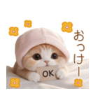 スコティッシュ猫 布団ねこ 可愛い日常（個別スタンプ：3）