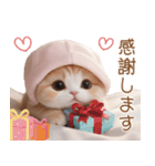 スコティッシュ猫 布団ねこ 可愛い日常（個別スタンプ：4）
