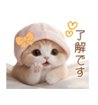 スコティッシュ猫 布団ねこ 可愛い日常（個別スタンプ：5）