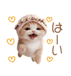 スコティッシュ猫 布団ねこ 可愛い日常（個別スタンプ：6）