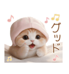 スコティッシュ猫 布団ねこ 可愛い日常（個別スタンプ：7）