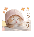 スコティッシュ猫 布団ねこ 可愛い日常（個別スタンプ：9）
