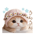 スコティッシュ猫 布団ねこ 可愛い日常（個別スタンプ：12）