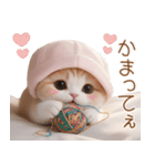 スコティッシュ猫 布団ねこ 可愛い日常（個別スタンプ：13）