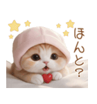 スコティッシュ猫 布団ねこ 可愛い日常（個別スタンプ：14）