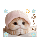 スコティッシュ猫 布団ねこ 可愛い日常（個別スタンプ：16）