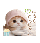 スコティッシュ猫 布団ねこ 可愛い日常（個別スタンプ：19）