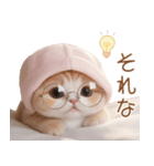 スコティッシュ猫 布団ねこ 可愛い日常（個別スタンプ：25）