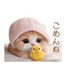 スコティッシュ猫 布団ねこ 可愛い日常（個別スタンプ：27）