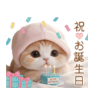 スコティッシュ猫 布団ねこ 可愛い日常（個別スタンプ：30）