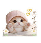 スコティッシュ猫 布団ねこ 可愛い日常（個別スタンプ：31）