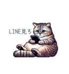 メンヘラカップル猫【連絡・面白い】（個別スタンプ：3）