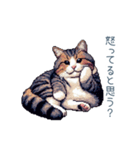 メンヘラカップル猫【連絡・面白い】（個別スタンプ：14）