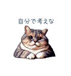 メンヘラカップル猫【連絡・面白い】（個別スタンプ：17）