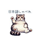 メンヘラカップル猫【連絡・面白い】（個別スタンプ：23）