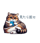 メンヘラカップル猫【連絡・面白い】（個別スタンプ：24）