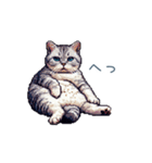 メンヘラカップル猫【連絡・面白い】（個別スタンプ：27）