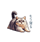 メンヘラカップル猫【連絡・面白い】（個別スタンプ：31）