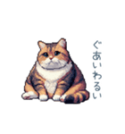 メンヘラカップル猫【連絡・面白い】（個別スタンプ：32）