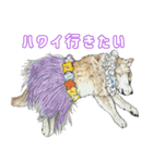 ここ柴スタンプその7（個別スタンプ：1）