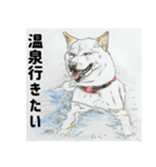 ここ柴スタンプその7（個別スタンプ：2）