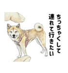 ここ柴スタンプその7（個別スタンプ：3）