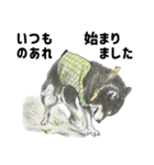 ここ柴スタンプその7（個別スタンプ：5）