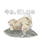 ここ柴スタンプその7（個別スタンプ：6）