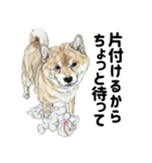 ここ柴スタンプその7（個別スタンプ：8）