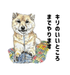 ここ柴スタンプその7（個別スタンプ：9）