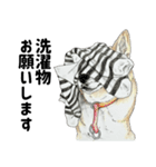 ここ柴スタンプその7（個別スタンプ：11）