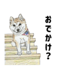 ここ柴スタンプその7（個別スタンプ：13）