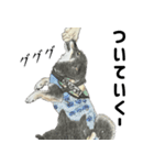 ここ柴スタンプその7（個別スタンプ：14）