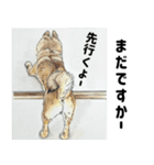 ここ柴スタンプその7（個別スタンプ：15）