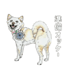 ここ柴スタンプその7（個別スタンプ：17）