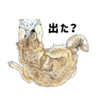 ここ柴スタンプその7（個別スタンプ：20）