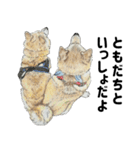 ここ柴スタンプその7（個別スタンプ：21）